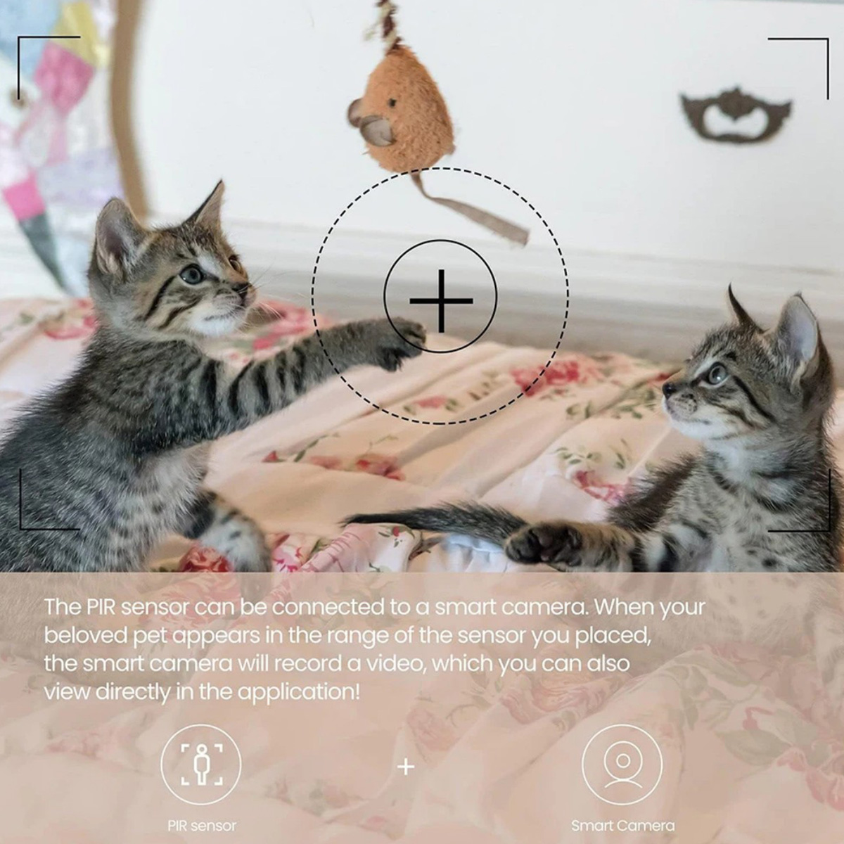 เซ็นเซอร์ตรวจจับความเคลื่อนไหว - Home Improvement And Hardware บทวิจารณ์และราคา