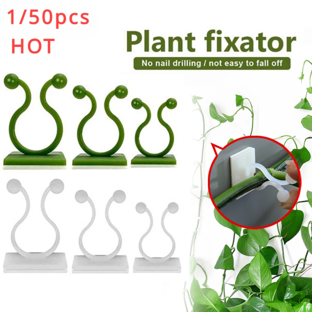 1/30/50 ชิ้นสําหรับอุปกรณ์สวนพ - Wall Anchor Plastic บทวิจารณ์และราคา