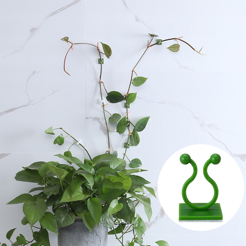 คลิปหนีบต้นไม้เลื้อยติดผนังสำห - Wall Anchor Plastic บทวิจารณ์และราคา
